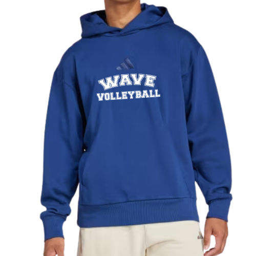 Adidas Men's All Szn Fleece Hoodie - Navy W/ White