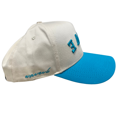 Upside Down Retro WAVE Hat